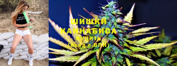 гидра Новокубанск
