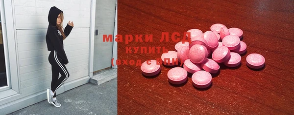 ALPHA-PVP Новозыбков