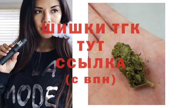 ALPHA-PVP Новозыбков