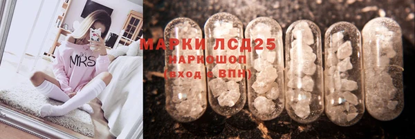 ALPHA-PVP Новозыбков
