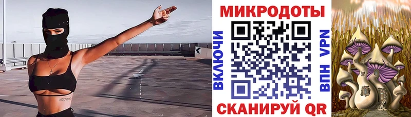 Галлюциногенные грибы ЛСД Переславль-Залесский
