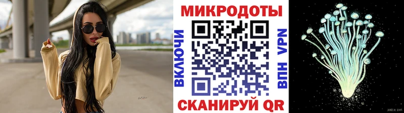 наркотики  Переславль-Залесский  Псилоцибиновые грибы Cubensis 