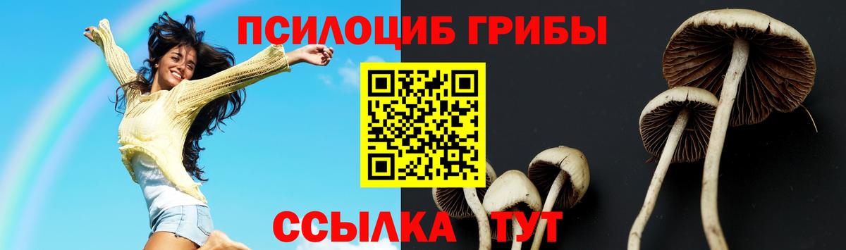 Переславль-Залесский  Галлюциногенные грибы Magic Shrooms  Галлюциногенные грибы Cubensis  Вход с VPN 